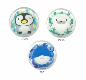 Magnet/Pin