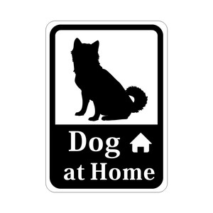 Miscellaneous Shiba Dog Dog HOME