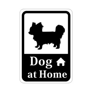 Miscellaneous Chihuahua Dog HOME