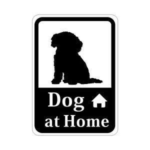 Miscellaneous Toy Poodle Dog HOME