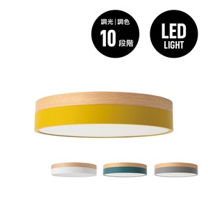 Olika LED CEILING LIGHT (調光・調色対応) / Olika LED シーリングライト