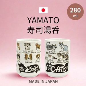 Mino ware Japanese Teacup Made in Japan