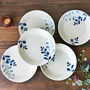 Mino ware Main Plate Tableware Gift Set of 5 Made in Japan