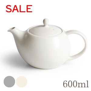 Mino ware SALIU Teapot Porcelain 600ml Made in Japan