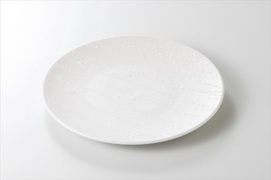 白粗吹 サラダ皿 ［美濃焼 食器 日本製]「2022新作」
