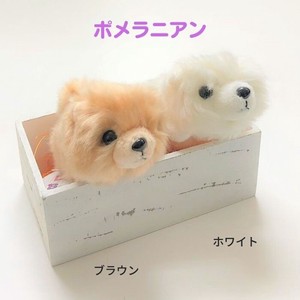 Plushie/Doll Pomeranian Plushie