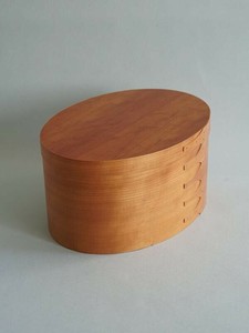 Accessory Case