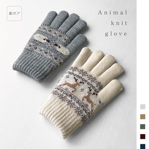 Nordic Glove