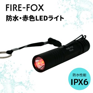 Light/Lantern Light Fox
