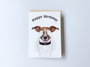 グリーティングカード 輸入 ドイツ製 バースデー 誕生日 イヌ