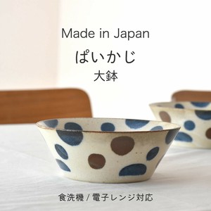 Main Dish Bowl Made in Japan Made in Japan