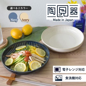 Water-Repellent Tokusa Pasta Plate