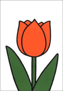 ポストカード イラスト ミッフィー/ディック・ブルーナ「オレンジのチューリップ」絵本 花