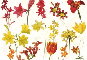 ポストカード アート ルドゥーテ「黄と赤色の花」メッセージカード 郵便はがき