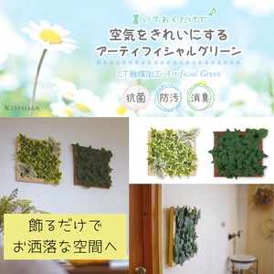 【CT触媒】人工観葉植物  壁面装飾 フェイクグリーン 壁掛け インテリア雑貨 装飾品 消臭 備品