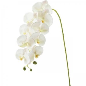 【造花】 コチョウラン ホワイト