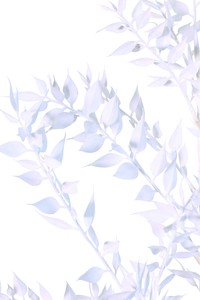 【造花】アレンジタイプ ドライルスカススプレー ホワイト