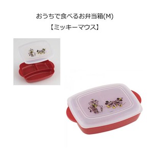 For Home Use Bento (Lunch Boxes) Mickey Mouse SKATER HM 1