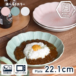 Ashikaga Curry Plate