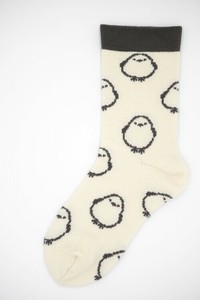 Socks Socks