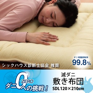 Bedding Comfortable Duvet Suppress Made in Japan Plain Mattress