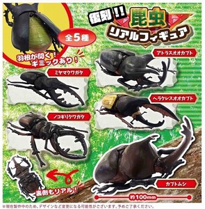 Insect Real Figure