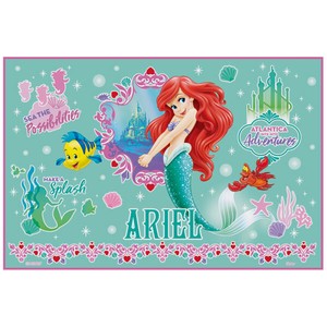 Picnic Blanket Ariel