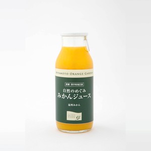Nature MEGUMI Orange Juice 80 ml 1 Ehime Orange