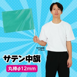 Hygiene Product Metallic Green 12mm