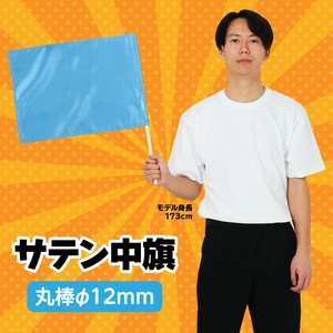 Hygiene Product Metallic 12mm