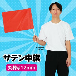 Hygiene Product Red Metallic 12mm
