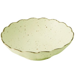 白化粧 菊形55浅鉢 [美濃焼 日本製 食器 陶磁器]