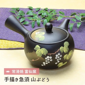 Japanese Tea Pots