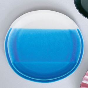 Mino ware Main Plate Water Made in Japan