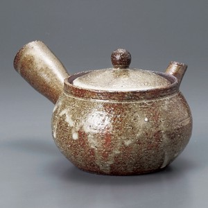 Shigaraki ware Japanese Teapot