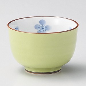 Japanese Teacup Arita ware