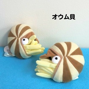 オーム貝