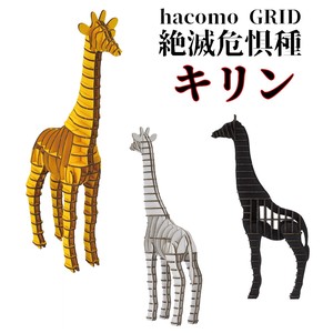 Giraffe 3 Colors Cardboard Box Craft Kit