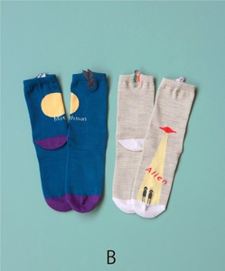 2 Pairs Socks Little Embroidery Short Socks