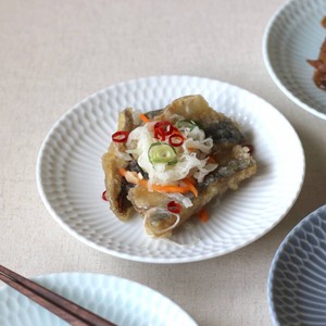 美浓烧 小餐盘 日式餐具 16cm 日本制造