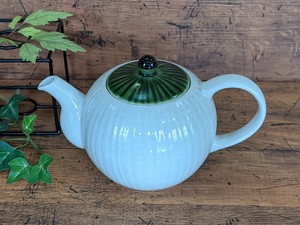 Seto ware Japanese Teapot Made in Japan