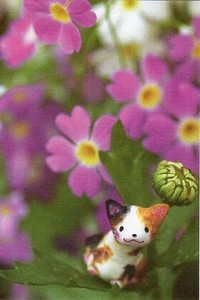ポストカード カラー写真 Seisuke「猫と花」 メッセージカード