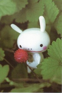 ポストカード カラー写真 Seisuke「赤い実と小さな生き物」メッセージカード