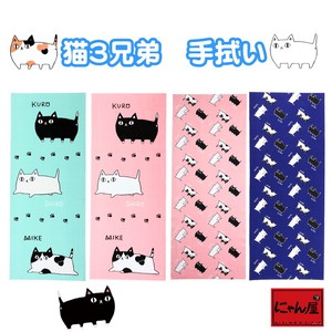 日式手巾 猫咪三兄弟 4种类 日本制造