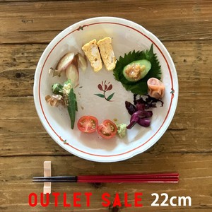 Outlet Pasta Plate Curry Plate Salad Plate 22 cm Plate Red Drawing