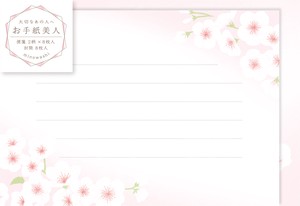 Letter Beauty Sakura
