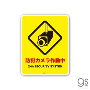 サインステッカー 防犯カメラ作動中 ミニ 再剥離 表示 識別 標識 ピクトサイン 室内 施設 店舗 MSGS019