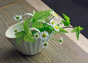 Mashiko Ware Single Flower Vase Bag type