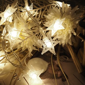 Decorative Light