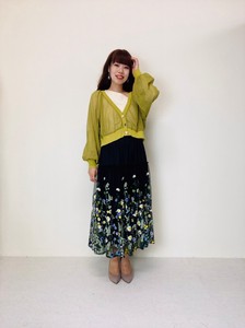 Embroidery Skirt